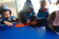 P1060925