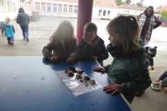 P1060938