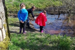 IMG_20250318_142926