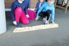 IMG_20250404_112513