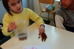 IMG_20240404_111216