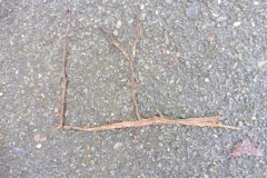 P1040327