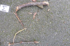 P1040331