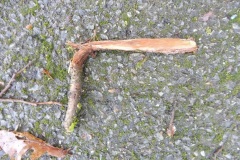 P1040335