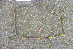 P1040339