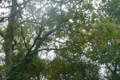 P1060897