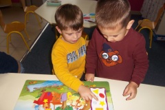 Pentax Digital Camera