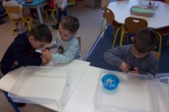 Pentax Digital Camera