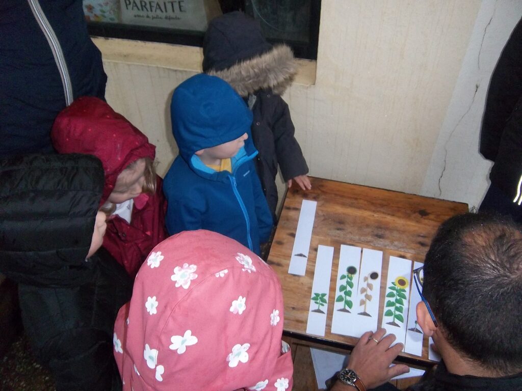 Pentax Digital Camera