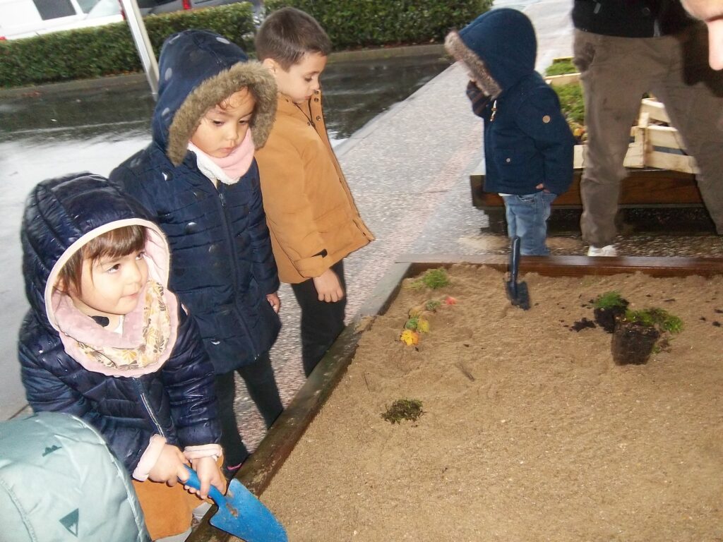 Pentax Digital Camera