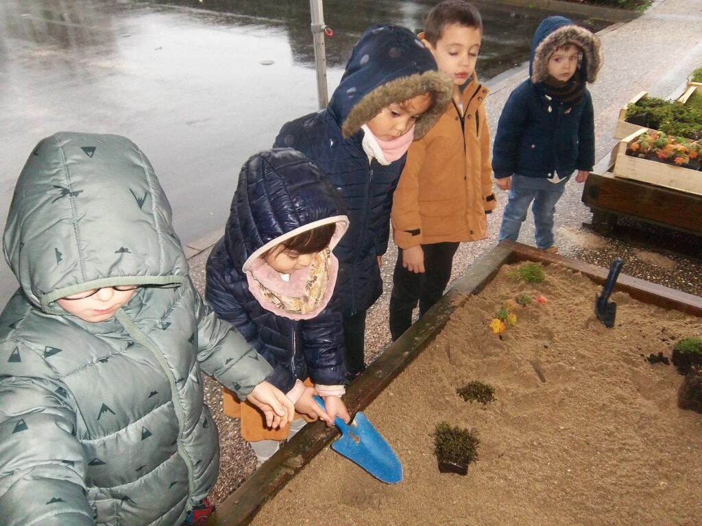 Pentax Digital Camera