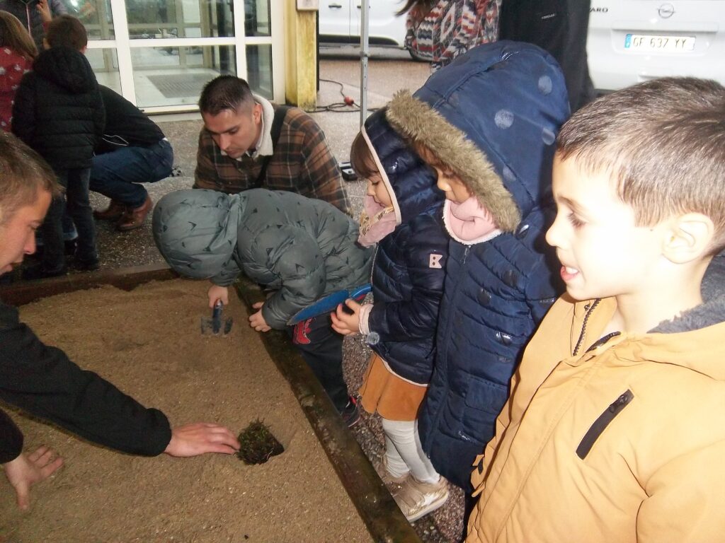 Pentax Digital Camera