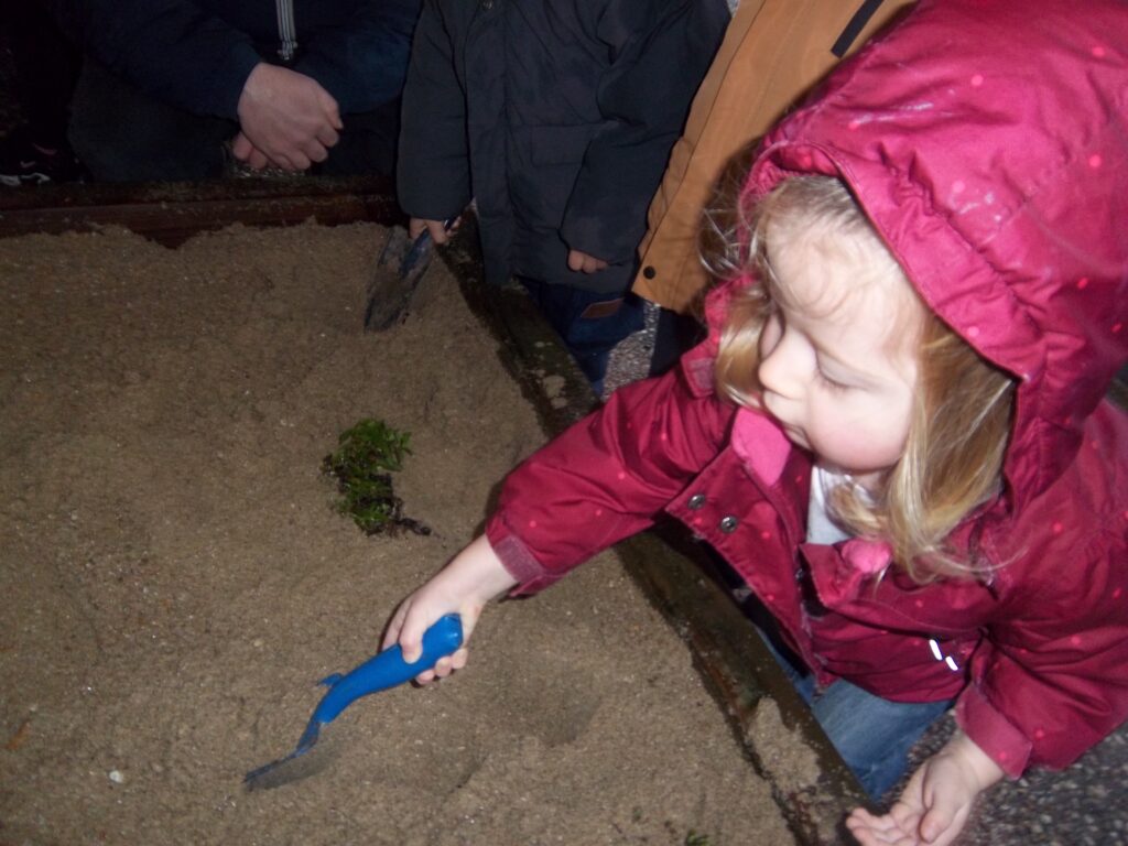 Pentax Digital Camera