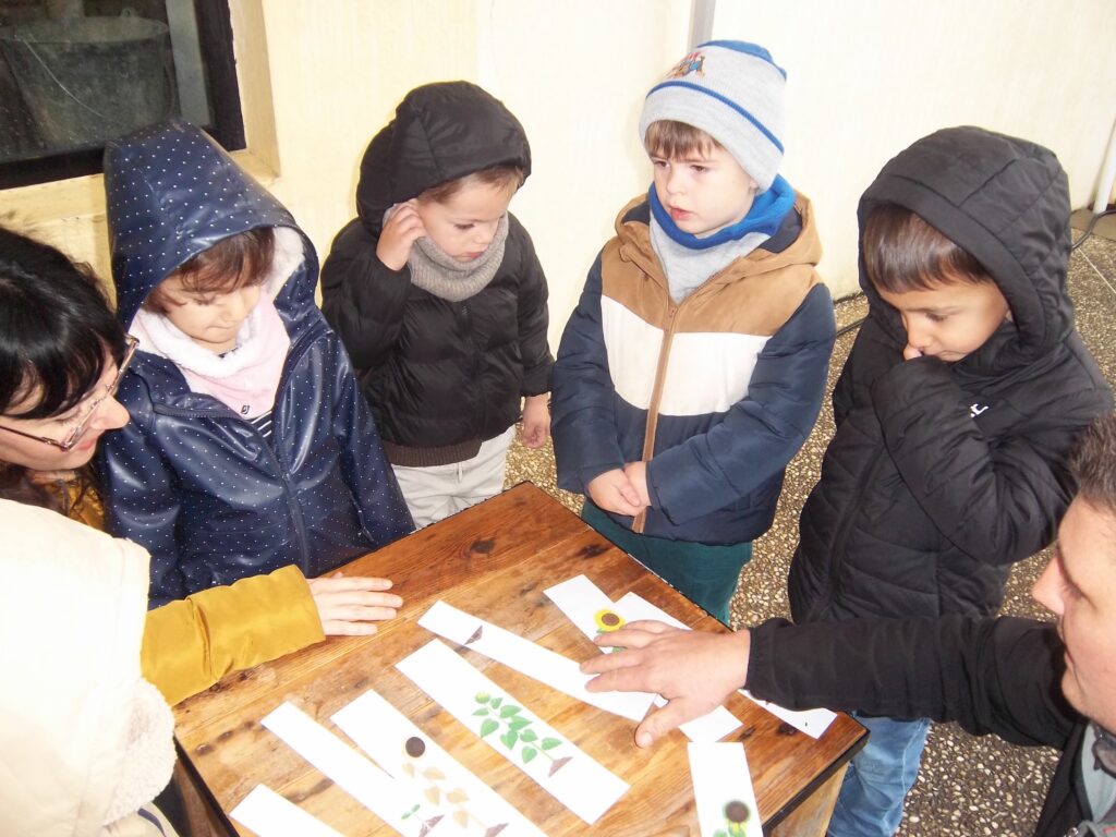 Pentax Digital Camera