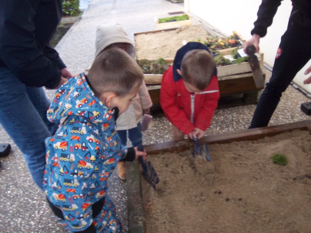 Pentax Digital Camera