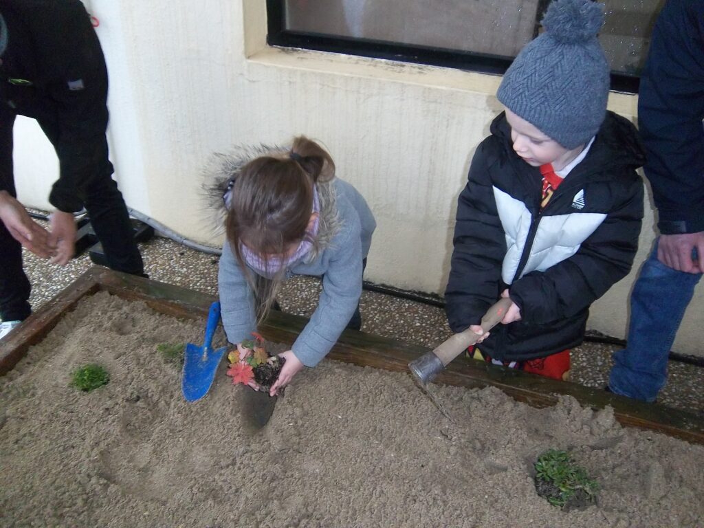 Pentax Digital Camera