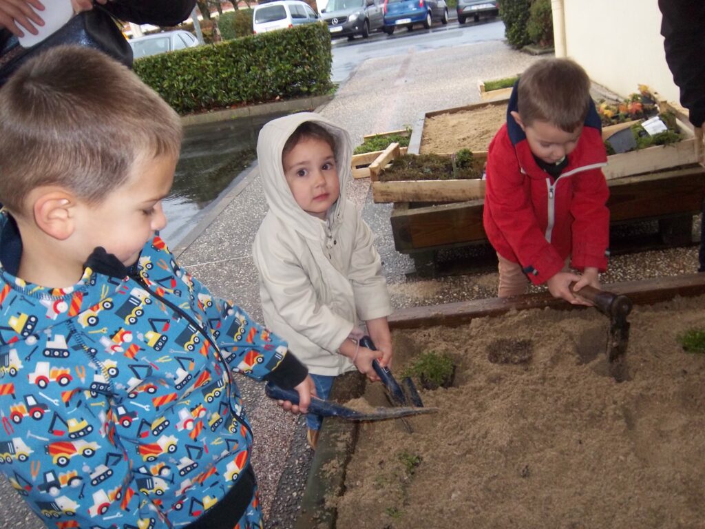 Pentax Digital Camera