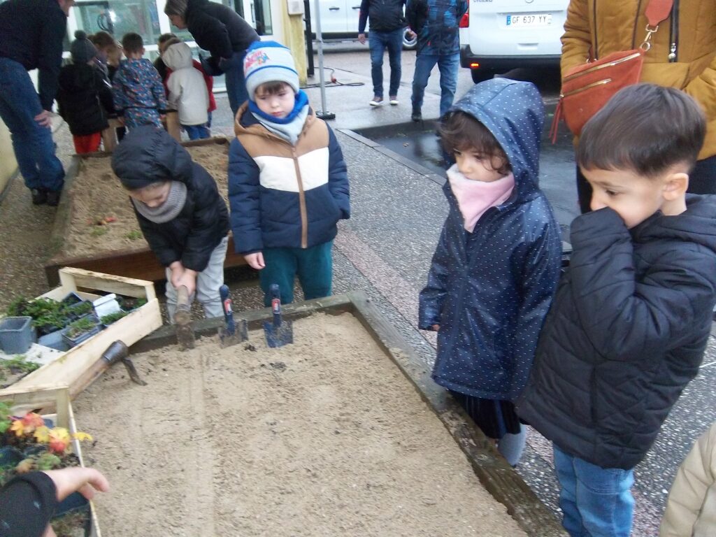 Pentax Digital Camera