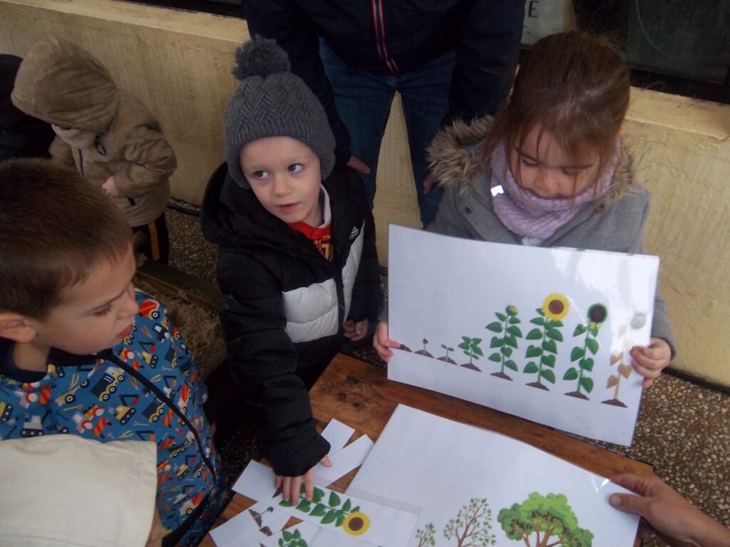 Pentax Digital Camera