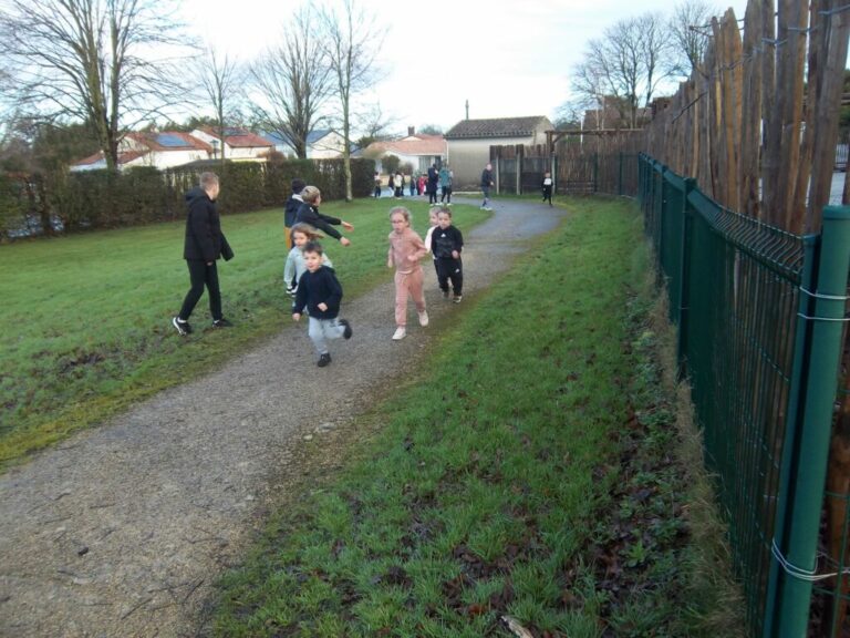 Pentax Digital Camera