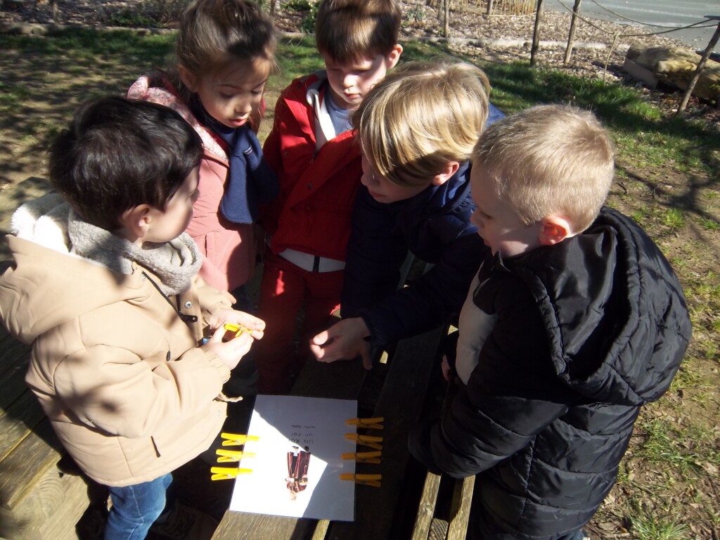 Jeu de coopération et d’orientation en cycle 1