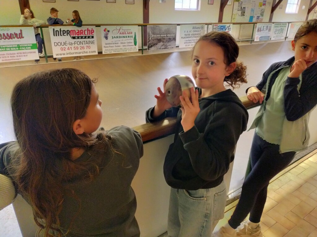 Boule de Fort